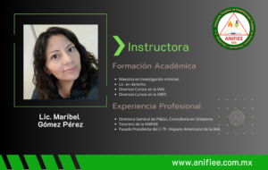 Investigacion de incendios y explosiones en México Investigación de incendios Investigacion de incendios Investigación de incendios y explosiones en méxico ANIFIEE