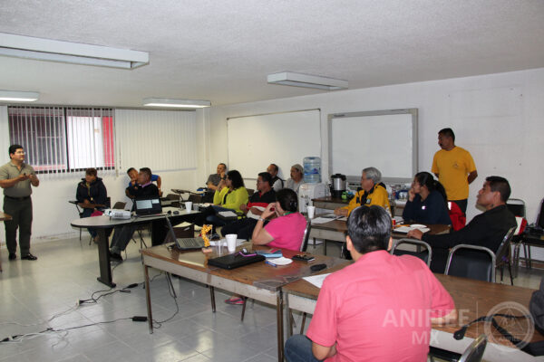 Investigacion de incendios y explosiones en México Investigación de incendios Investigacion de incendios Investigación de incendios y explosiones en méxico ANIFIEE