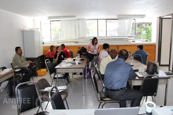 Investigacion de incendios y explosiones en México Investigación de incendios Investigacion de incendios Investigación de incendios y explosiones en méxico ANIFIEE