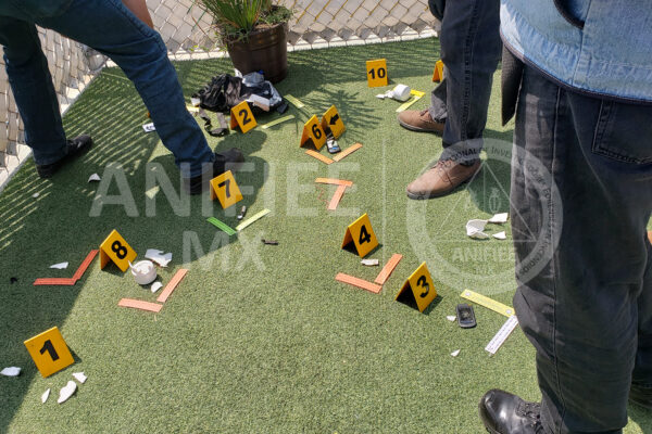 Investigacion de incendios y explosiones en México Investigación de incendios Investigacion de incendios Investigación de incendios y explosiones en méxico ANIFIEE