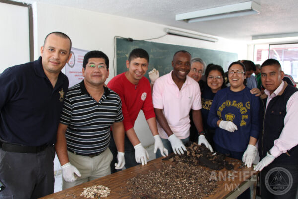 Investigacion de incendios y explosiones en México Investigación de incendios Investigacion de incendios Investigación de incendios y explosiones en méxico ANIFIEE