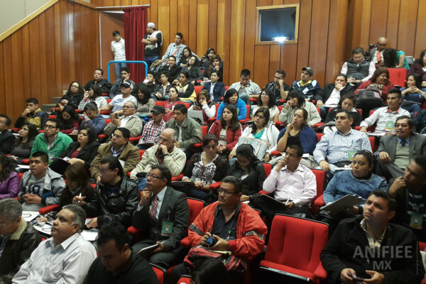 Investigacion de incendios y explosiones en México investigación de incendios y explosiones méxico Investigacion de incendios ANIFIEE