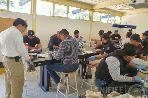 Investigacion de incendios y explosiones en México investigación de incendios y explosiones méxico Investigacion de incendios ANIFIEE