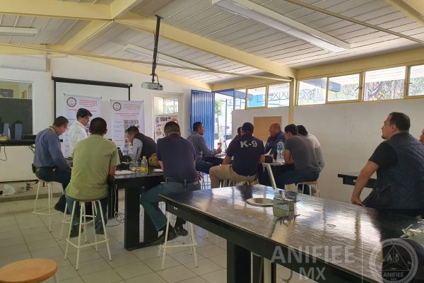 Investigacion de incendios y explosiones en México investigación de incendios y explosiones méxico Investigacion de incendios ANIFIEE