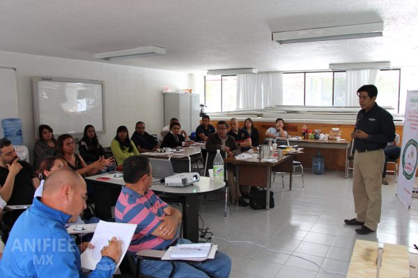 Investigacion de incendios y explosiones en México investigación de incendios y explosiones méxico Investigacion de incendios ANIFIEE