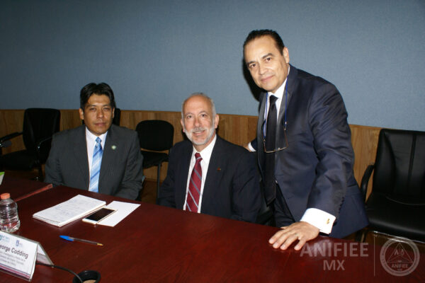 Investigacion de incendios y explosiones en México investigación de incendios y explosiones méxico Investigacion de incendios ANIFIEE