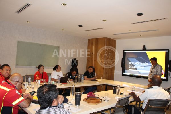 Investigacion de incendios y explosiones en México investigación de incendios y explosiones méxico Investigacion de incendios ANIFIEE