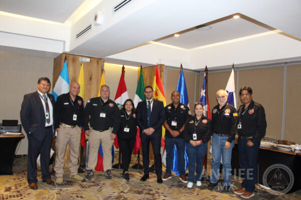 Investigacion de incendios y explosiones en México investigación de incendios y explosiones méxico Investigacion de incendios ANIFIEE