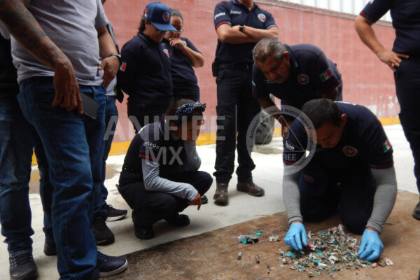 Investigacion de incendios y explosiones en méxico; Investigación de incendios Investigacion de incendios; Investigacion de incendios y explosiones méxico; ANIFIEE