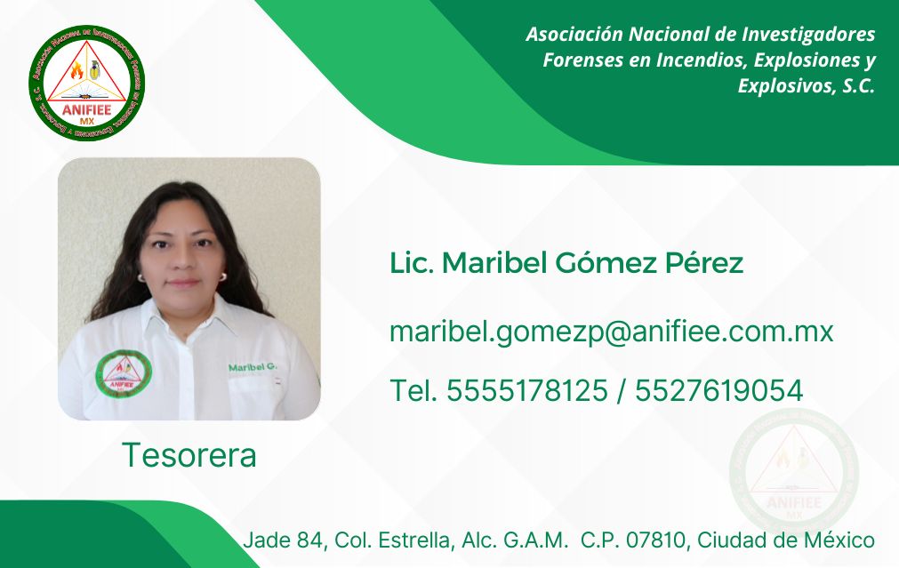 Investigacion de incendios y explosiones en México Investigación de incendios Investigacion de incendios Investigación de incendios y explosiones en méxico ANIFIEE