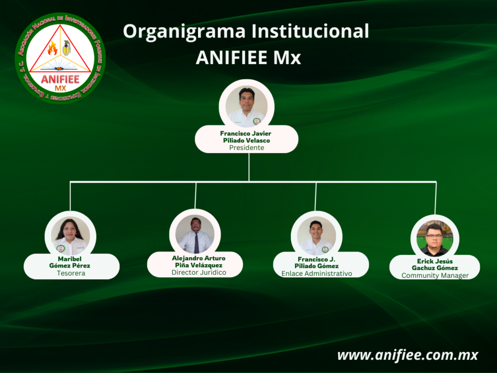 Investigacion de incendios y explosiones en México Investigación de incendios Investigacion de incendios Investigación de incendios y explosiones en méxico ANIFIEE
