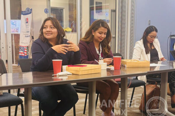 Investigacion de incendios y explosiones en México Investigación de incendios Investigacion de incendios Investigación de incendios y explosiones en méxico ANIFIEE