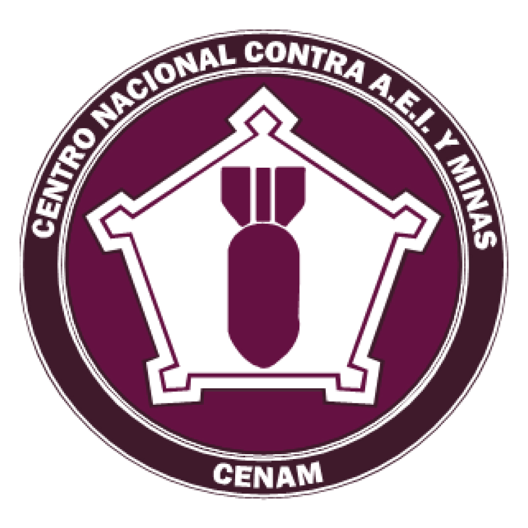 Investigacion de incendios y explosiones en México Investigación de incendios Investigacion de incendios Investigación de incendios y explosiones en méxico ANIFIEE