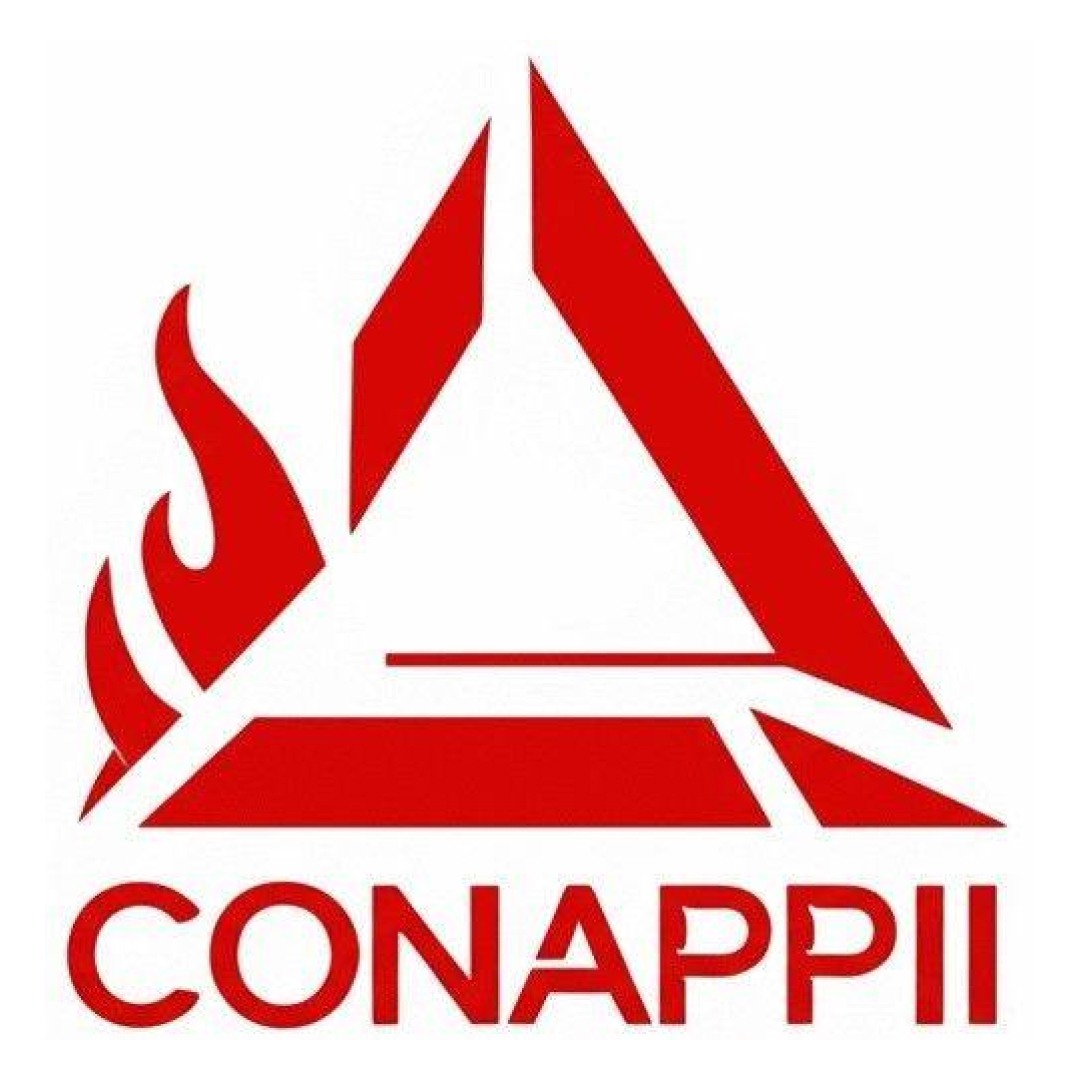 Investigacion de incendios y explosiones en México Investigación de incendios Investigacion de incendios Investigación de incendios y explosiones en méxico ANIFIEE