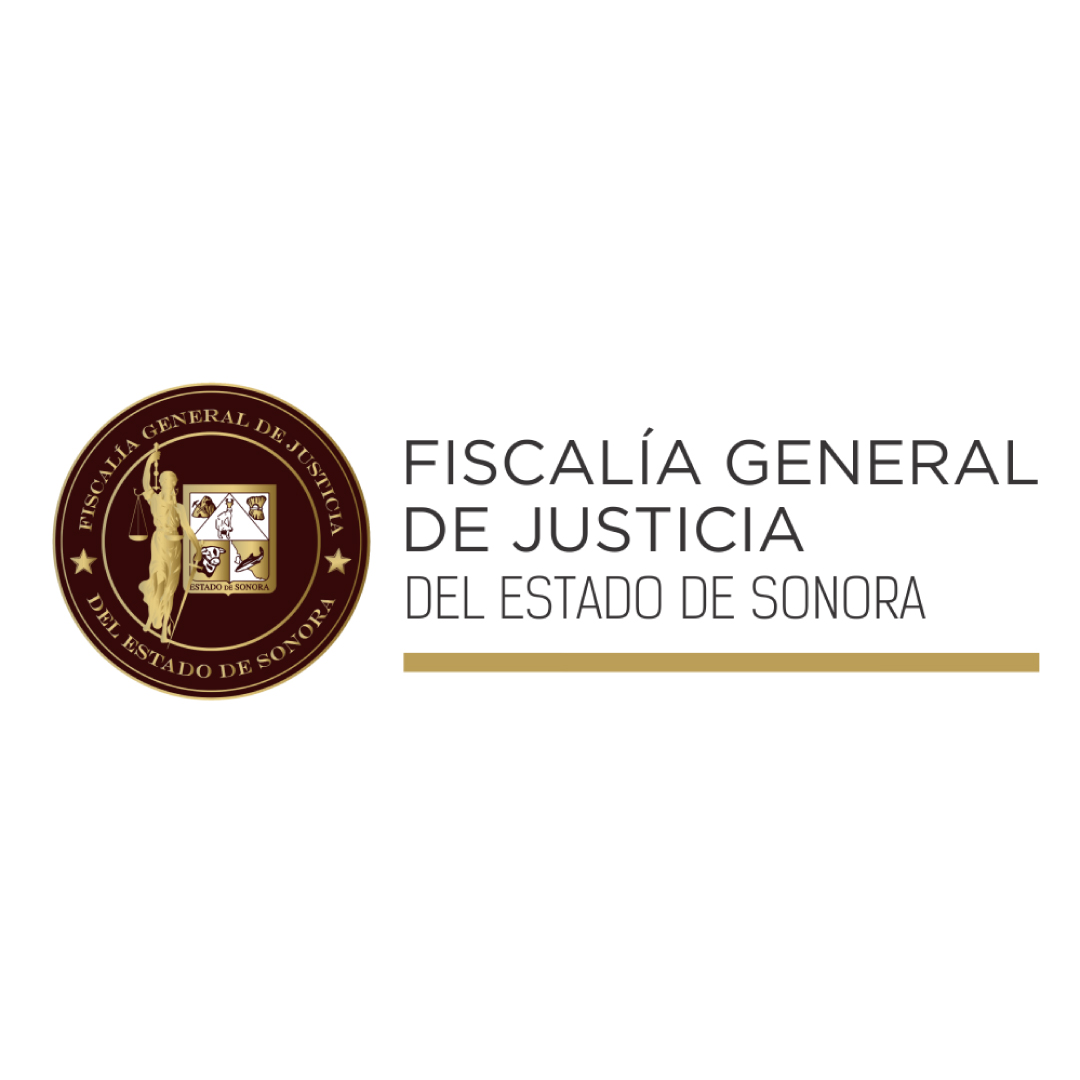 Investigacion de incendios y explosiones en México Investigación de incendios Investigacion de incendios Investigación de incendios y explosiones en méxico ANIFIEE